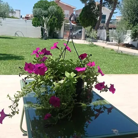 Francesca *